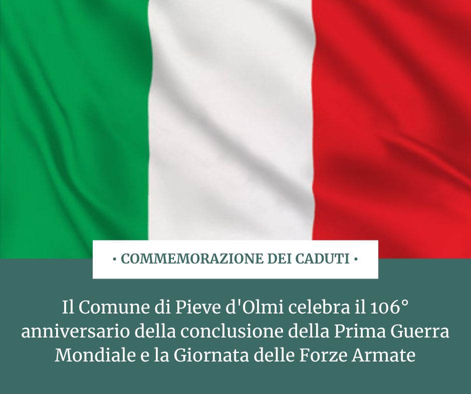 Giornata delle Forze Armate